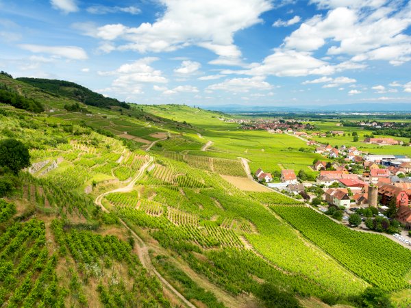 Ophorus Tours - 4-Day Small Group Alsace Packages - Colmar - 5* Hotel