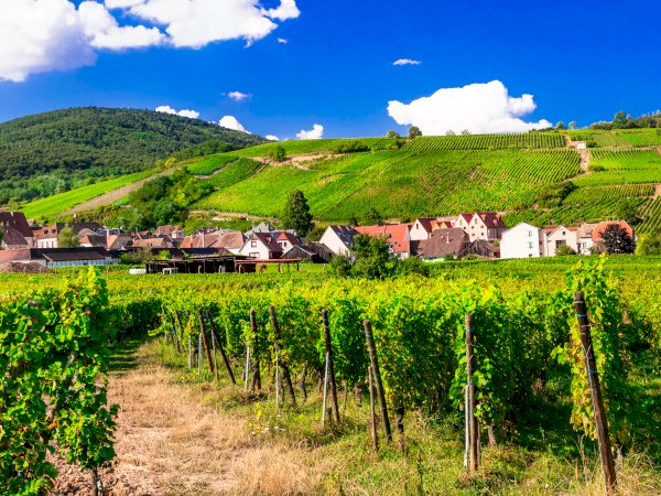 Ophorus Tours - 4-Day Small Group Alsace Packages - Colmar - 5* Hotel
