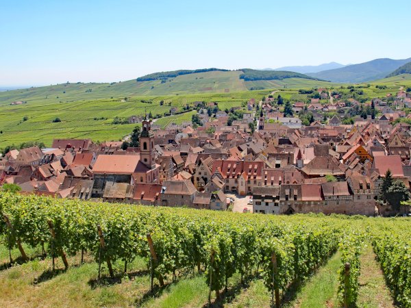 Ophorus Tours - 5-Day Private Alsace Package - Colmar - 4* Hotel