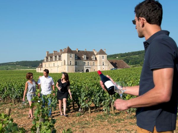 Ophorus Tours - 7-Day Small Group Alsace & Burgundy Package - 4* Hotel
