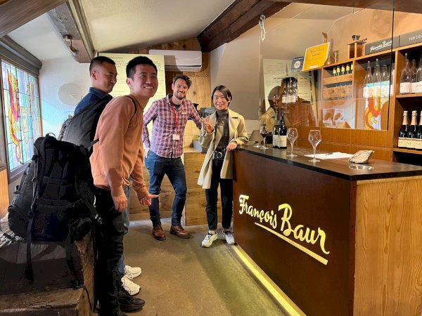 Ophorus Tours - 7-Day Small Group Alsace & Burgundy Package - 5* Hotel