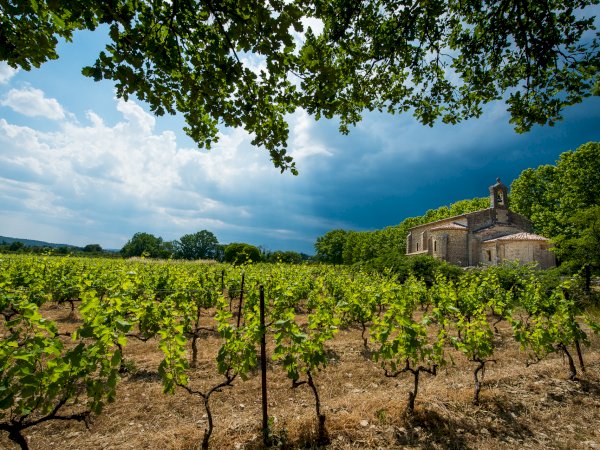 Ophorus Tours - Albi, Cordes Village & Gaillac Wine Tasting From Toulouse
