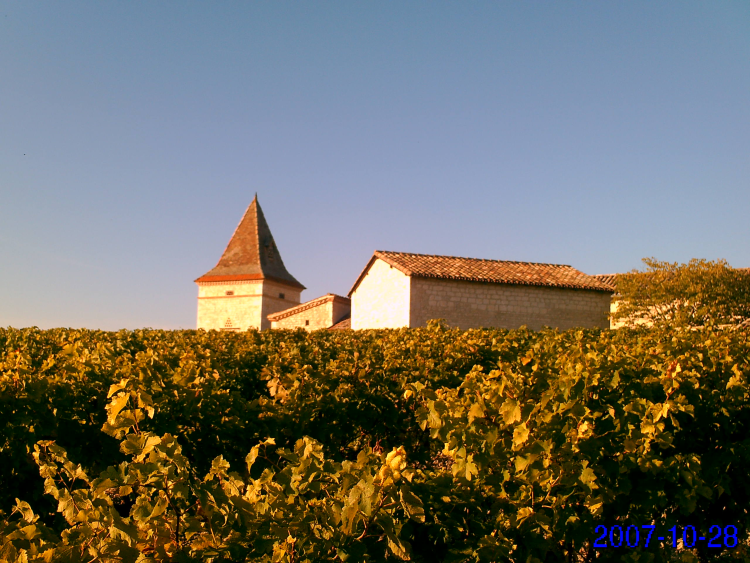 Ophorus Tours - Albi, Cordes Village & Gaillac Wine Tasting From Toulouse