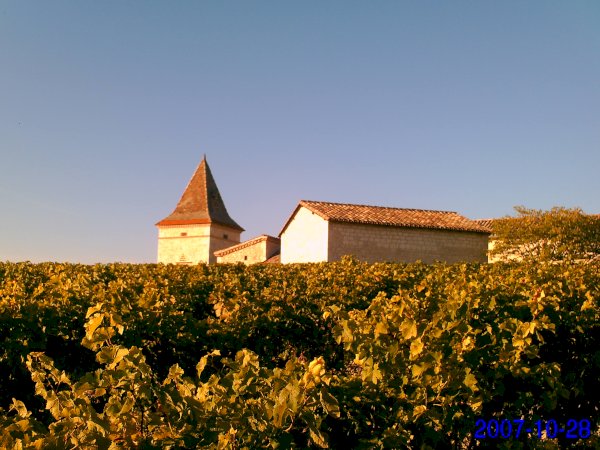 Ophorus Tours - Gaillac Wine Tour Small Group half-day Tour from Toulouse