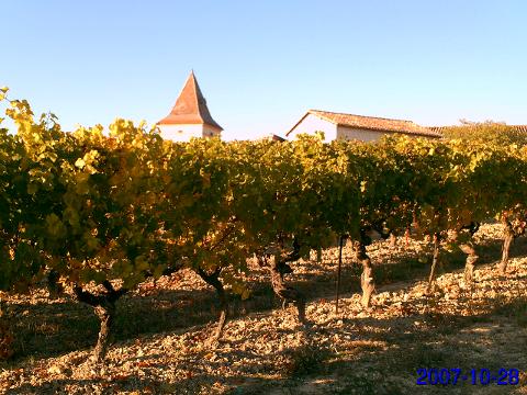 Ophorus Tours - Gaillac Wine Tour Small Group Half-Day from Toulouse