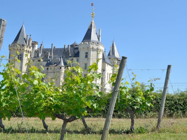 Ophorus Tours - Vouvray Vineyard & Tasting Tour – Private Half-Day from Tours