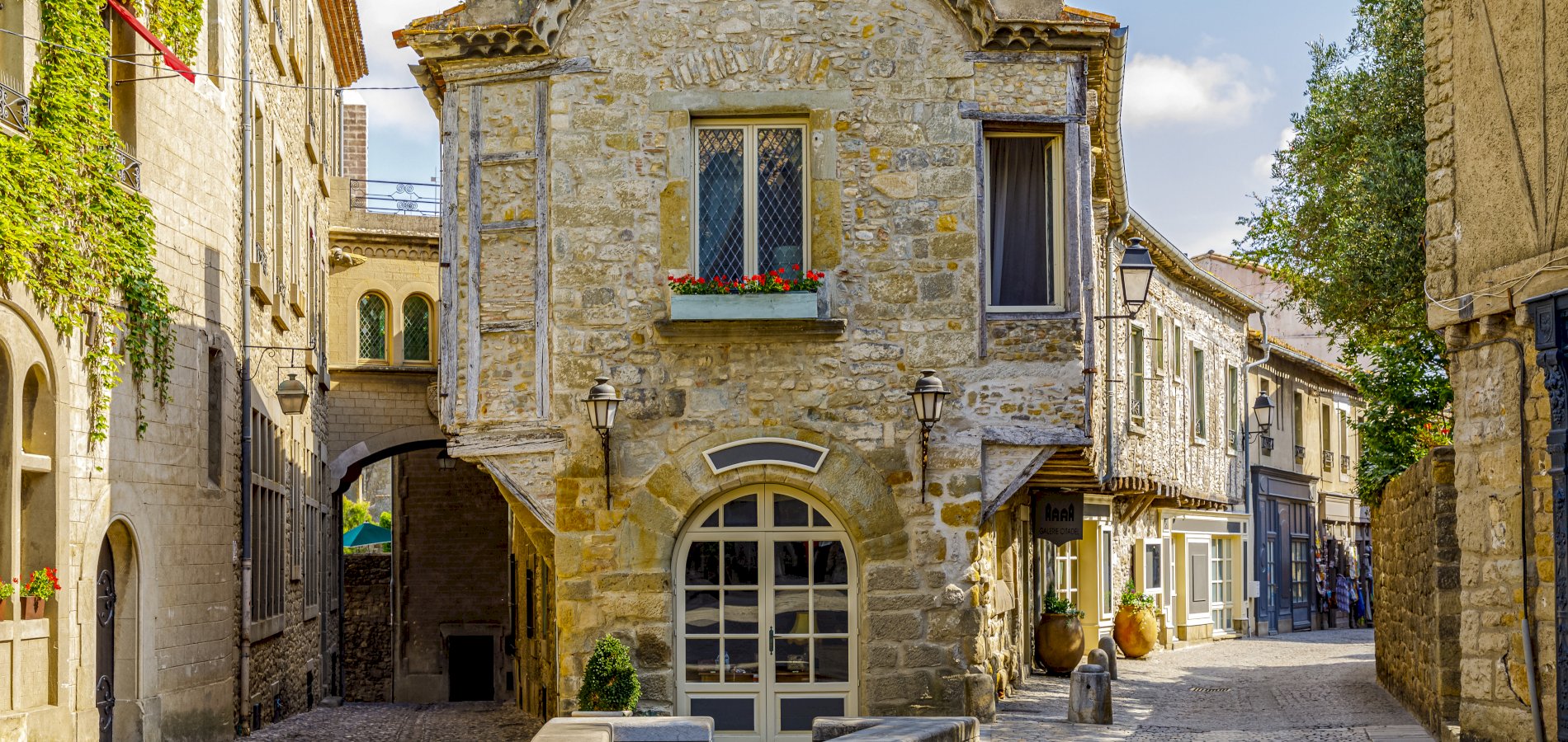 Ophorus Tours - Carcassonne Private Half-Day tour from Toulouse