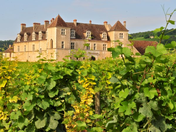 Ophorus Tours - Exclusive Full-Day Côte de Beaune Wine Tour for 2 persons – From Dijon