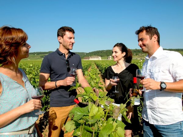 Ophorus Tours - Exclusive Half-Day Côte de Nuits Wine Tour for 2 – From Dijon