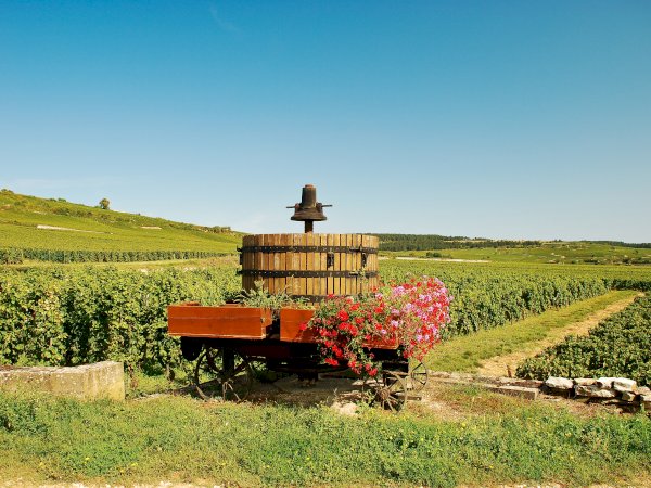 Ophorus Tours - A Private Burgundy Wine Tour From Dijon to Côte De Nuits for 2 persons