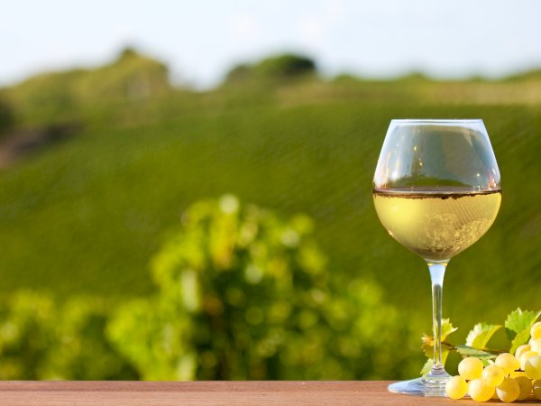Ophorus Tours - A Private Burgundy Wine Tour From Dijon to Côte De Nuits for 2 persons
