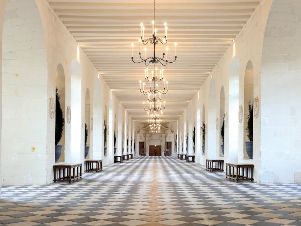 Ophorus Tours - Stunning Château de Chenonceau Private Tour for 2 - From Tours