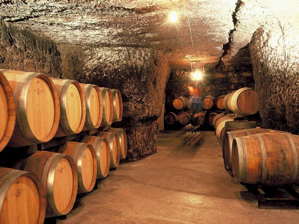 Ophorus Tours - Private Loire Valley Wine Experience – Vouvray Half-Day Tour for 2