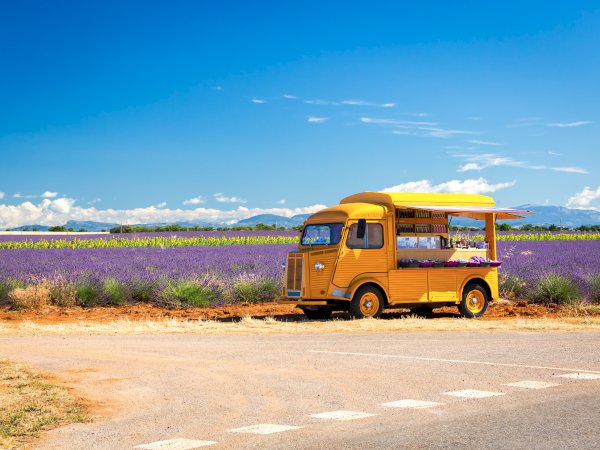 Ophorus Tours - Provence Lavender Escape: Private Day Trip from Marseille