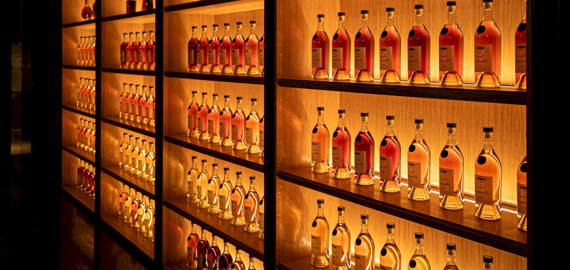 Ophorus Tours - Exclusive Cognac & Gastronomy Experience at Château de Chanteloup by Martell