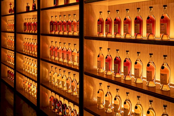 Ophorus Tours - Exclusive Cognac & Gastronomy Experience at Château de Chanteloup by Martell