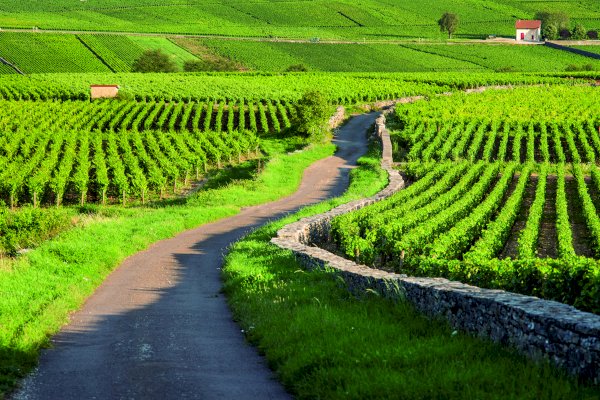 Ophorus Tours - 8-Day Small Group Alsace & Burgundy Package - 3* Hotel