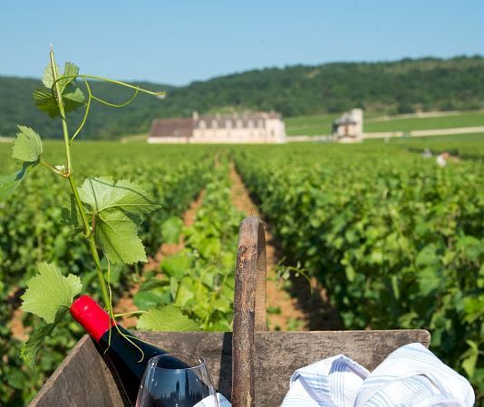 Ophorus Tours - 8-Day Small Group Alsace & Burgundy Package - 4* Hotel