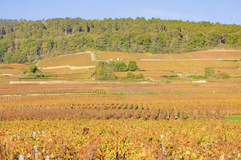 Ophorus Tours - 8-Day Small Group Alsace & Burgundy Package - 4* Hotel