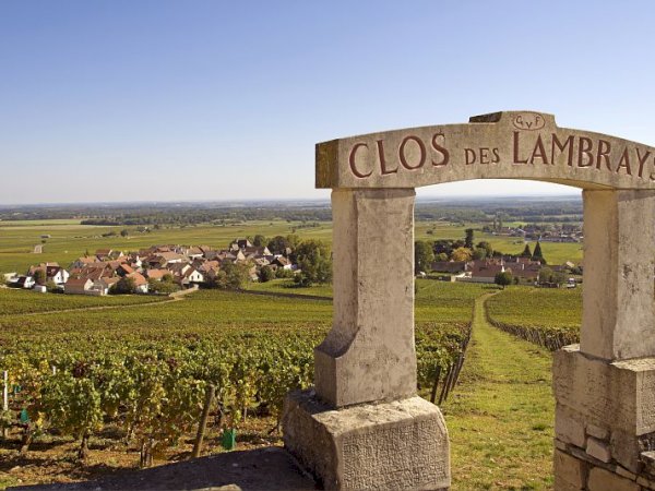 Ophorus Tours - 8-Day Private Alsace & Burgundy Package - 5* Hotel