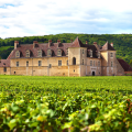 Afternoon: Clos de Vougeot & second tasting