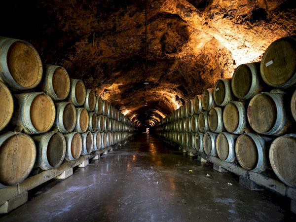 Ophorus Tours - A Private Burgundy Wine Tour From Dijon to Côte De Nuits for 2 persons