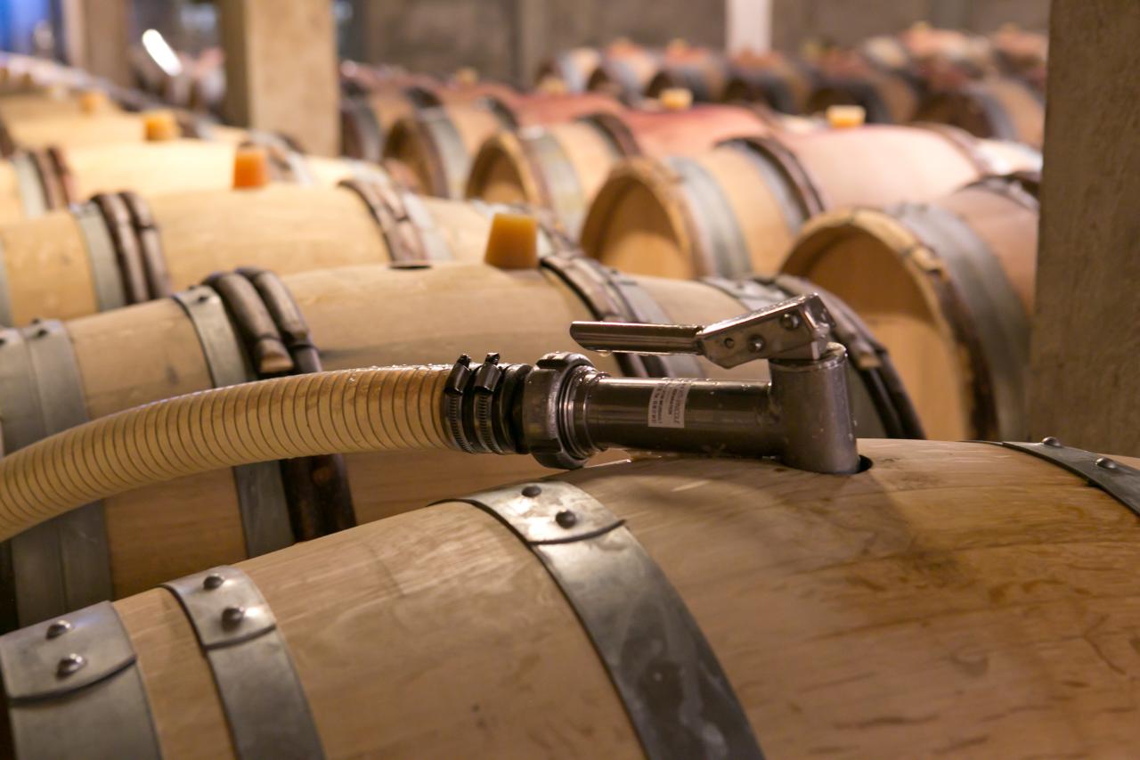 Ophorus Tours - A Private Burgundy Wine Tour From Dijon to Côte De Nuits for 2 persons