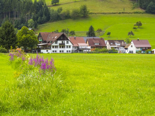 Ophorus Tours - Freiburg & The Black Forest: A Scenic Private Adventure from Colmar