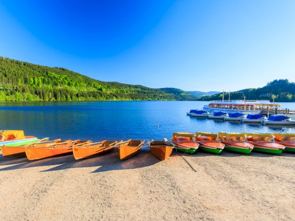 Ophorus Tours - Freiburg & The Black Forest: A Scenic Private Adventure from Colmar