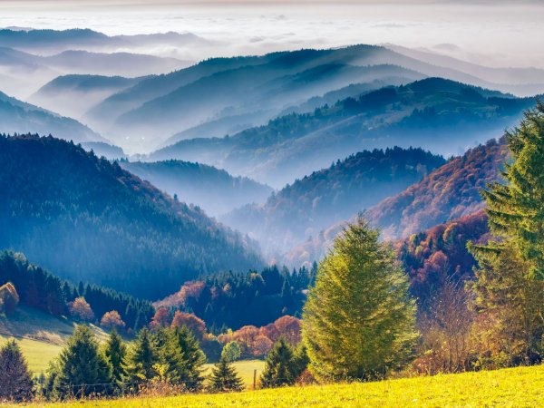 Ophorus Tours - Freiburg & The Black Forest: A Scenic Private Adventure from Colmar