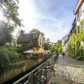 Free time in Freiburg - Lunch