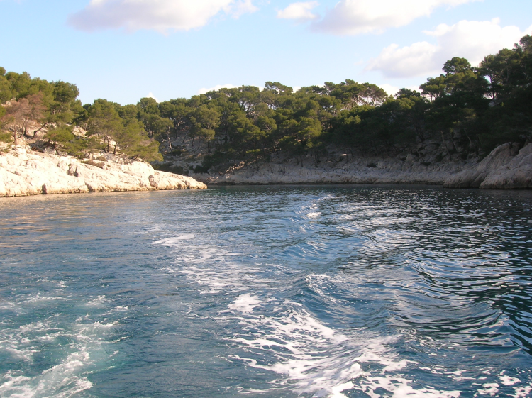 Ophorus Tours - Cassis Village & Wines, Calanques Boat Trip from Aix Private