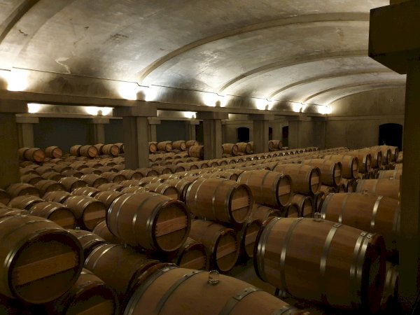 Ophorus Tours - Château d’Yquem Private Tour & Tasting from Bordeaux - Anthology