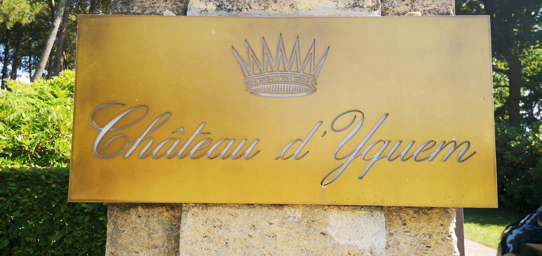 Ophorus Tours - Château d’Yquem Private Tour & Tasting from Bordeaux - Anthology