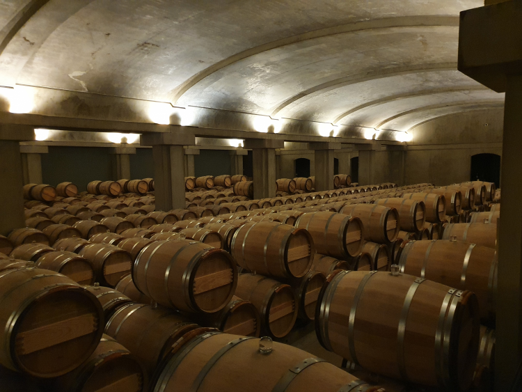 Ophorus Tours - Château d’Yquem Anthology Private Wine Tour from Bordeaux