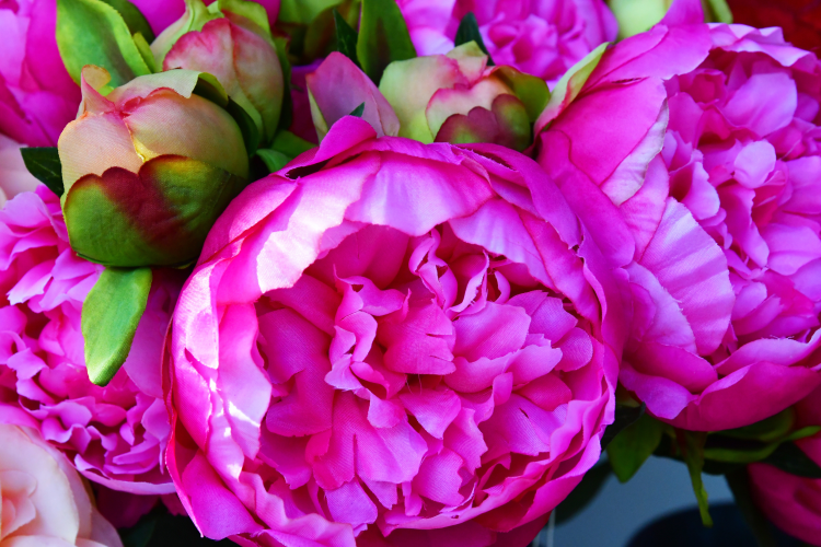 Ophorus Tours - Explore Giverny & Honfleur in Style: Private Le Havre Shore Excursion