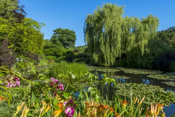 Explore Giverny & Honfleur in Style: Private Le Havre Shore Excursion