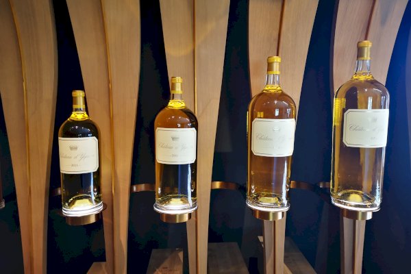 Ophorus Tours - Château d’Yquem Private Tour & Tasting from Bordeaux - Correspondances