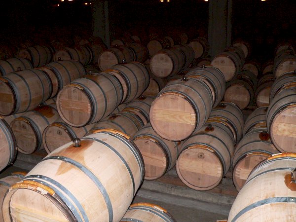 Ophorus Tours - Château d’Yquem Private Tour & Tasting from Bordeaux - Correspondances