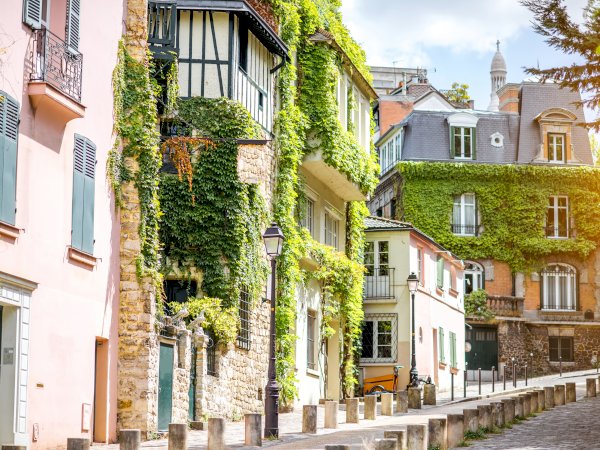 Ophorus Tours - City of Lights: Private half-day Panoramic Tour of Romantic Paris