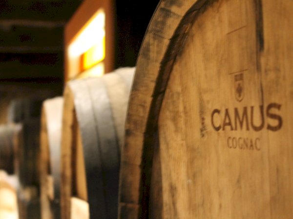 Ophorus Tours - Cognac Lover's Escape: Private Shore Excursion & Distillery Tour