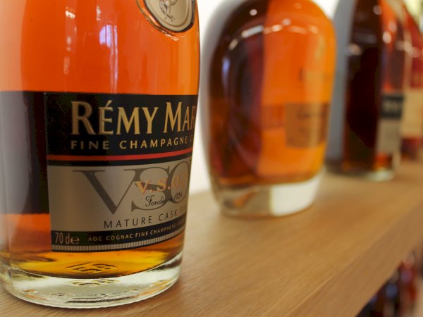 Ophorus Tours - Cognac Lover's Escape: Private Shore Excursion & Distillery Tour