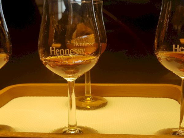 Ophorus Tours - Cognac Lover's Escape: Private Shore Excursion & Distillery Tour