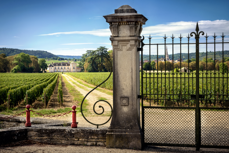 Ophorus Tours - Côte de Beaune & Côte de Nuits Full-Day Wine Tour for 2 – From Dijon