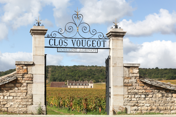 Ophorus Tours - Côte de Beaune & Côte de Nuits Full-Day Wine Tour for 2 – From Dijon