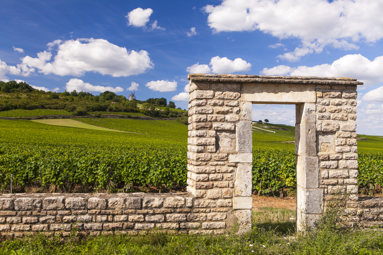 Ophorus Tours - Côte de Beaune & Côte de Nuits Full-Day Wine Tour for 2 – From Dijon