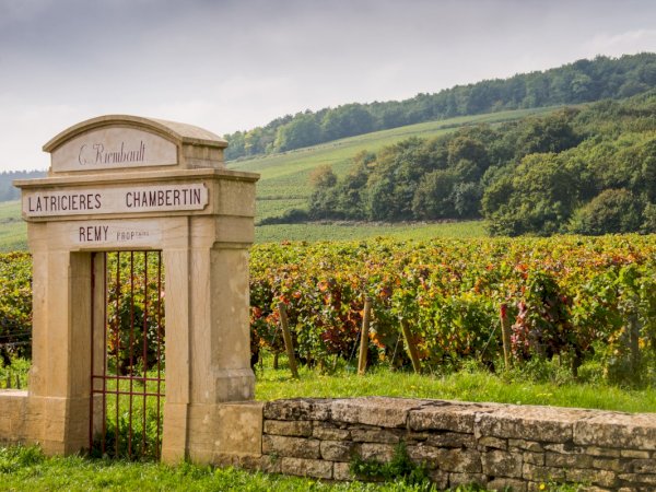 Ophorus Tours - Côte de Beaune & Côte de Nuits Full-Day Wine Tour for 2 – From Dijon