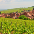 Afternoon – Alsace Wine Route winery (France)
