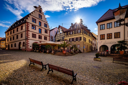 Ophorus Tours - Cross-Border Private Wine Tour: French Elegance & German Precision