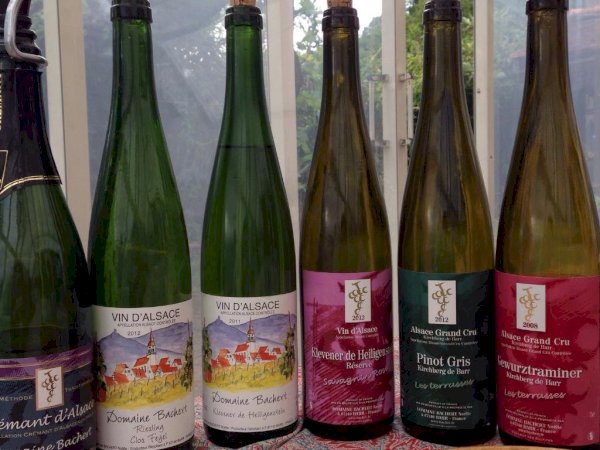 Ophorus Tours - Cross-Border Wine Tour: French Elegance & German Precision from Strasbourg